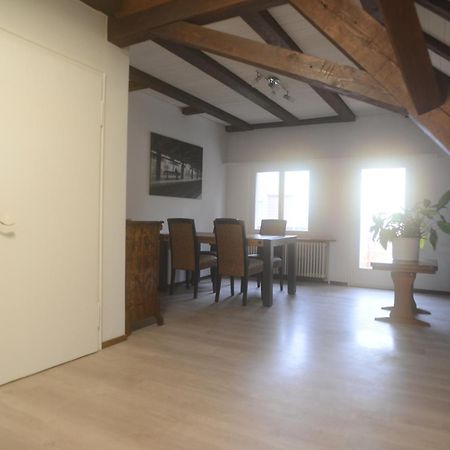 Appartements Am Bodensee Naehe Konstanz Ermatingen Exterior foto